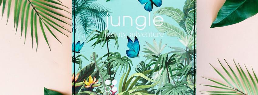 Rainpharma Jungle Adventure Box