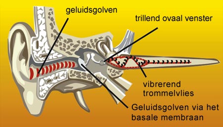 querschnitt